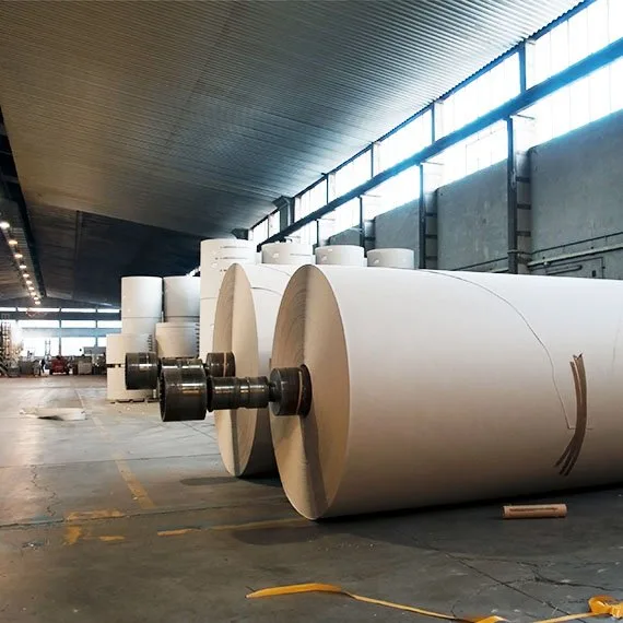 Paper and pulp mill plant